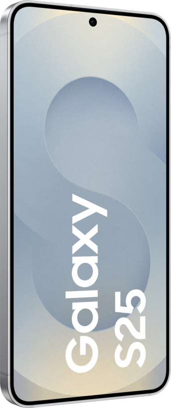Samsung Galaxy S25 Enterprise Edition