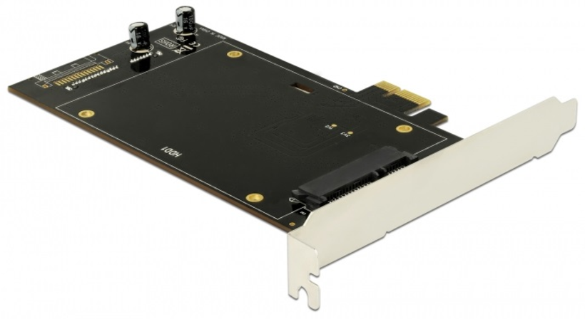 Delock PCI Express 2x HDD/SSD Adapter