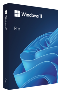 Microsoft Windows Professional