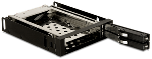 Delock 2x SATA Wechselrahmen